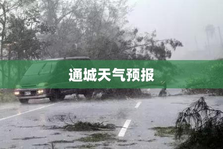 通城未来天气预报，30天详细预报概览