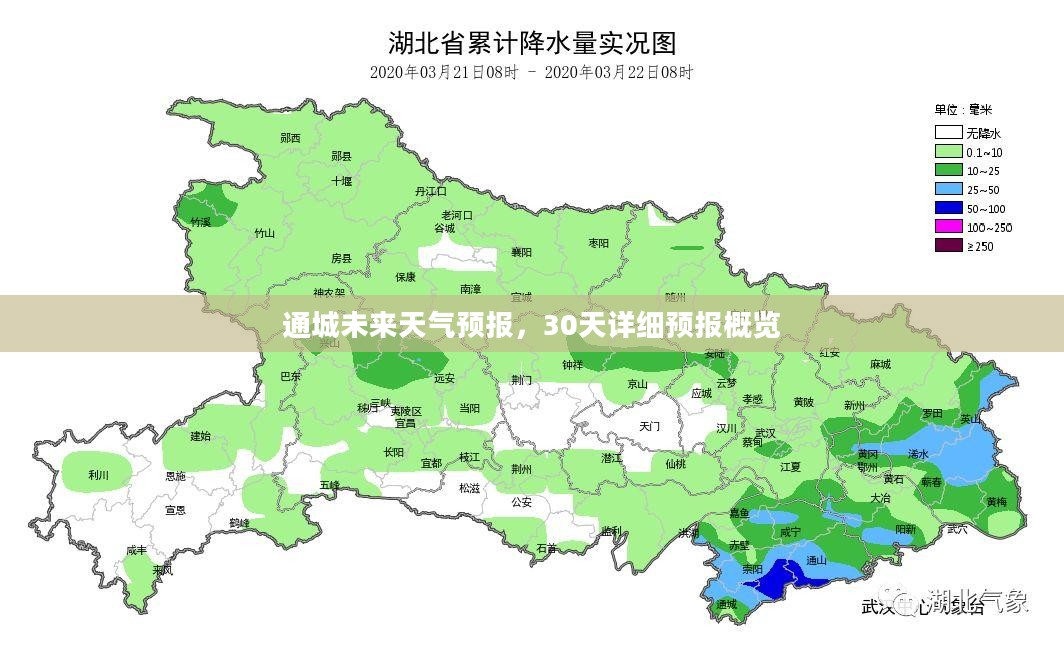 通城未来天气预报，30天详细预报概览