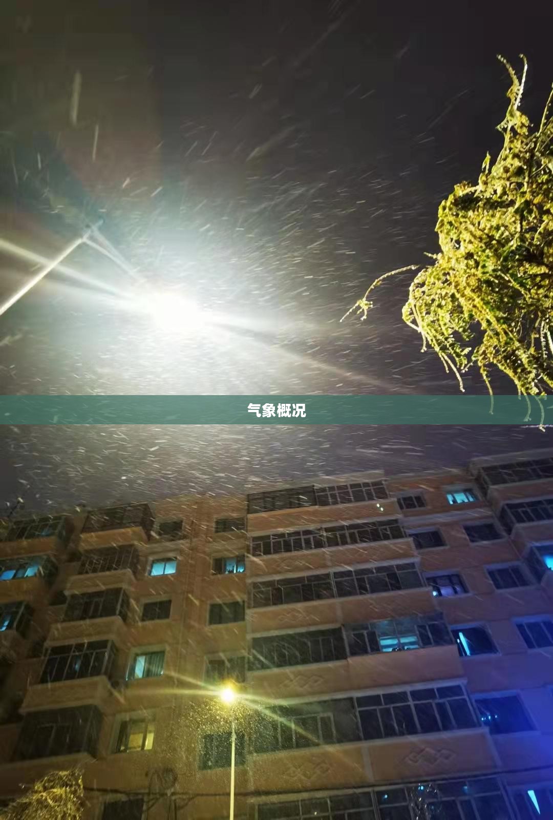 哈尔滨今日气象概况