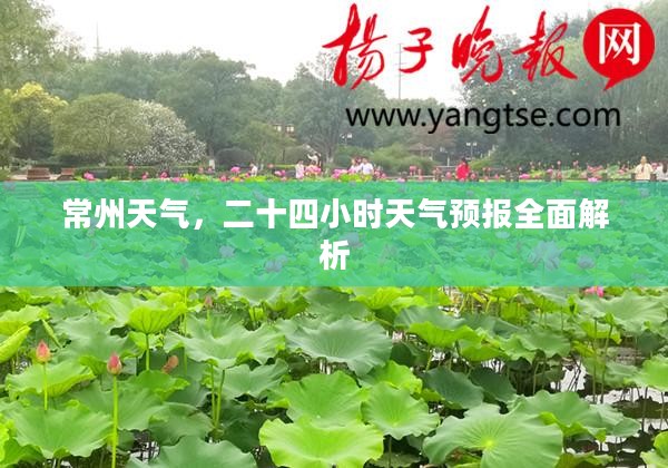 常州天气，二十四小时天气预报全面解析