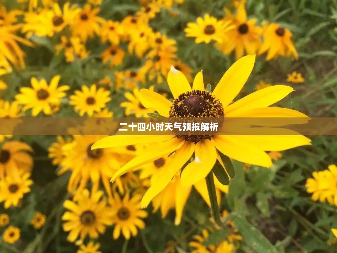 常州天气,二十四小时天气预报全面解析 常州天气,二十四小时天气预报全面解析