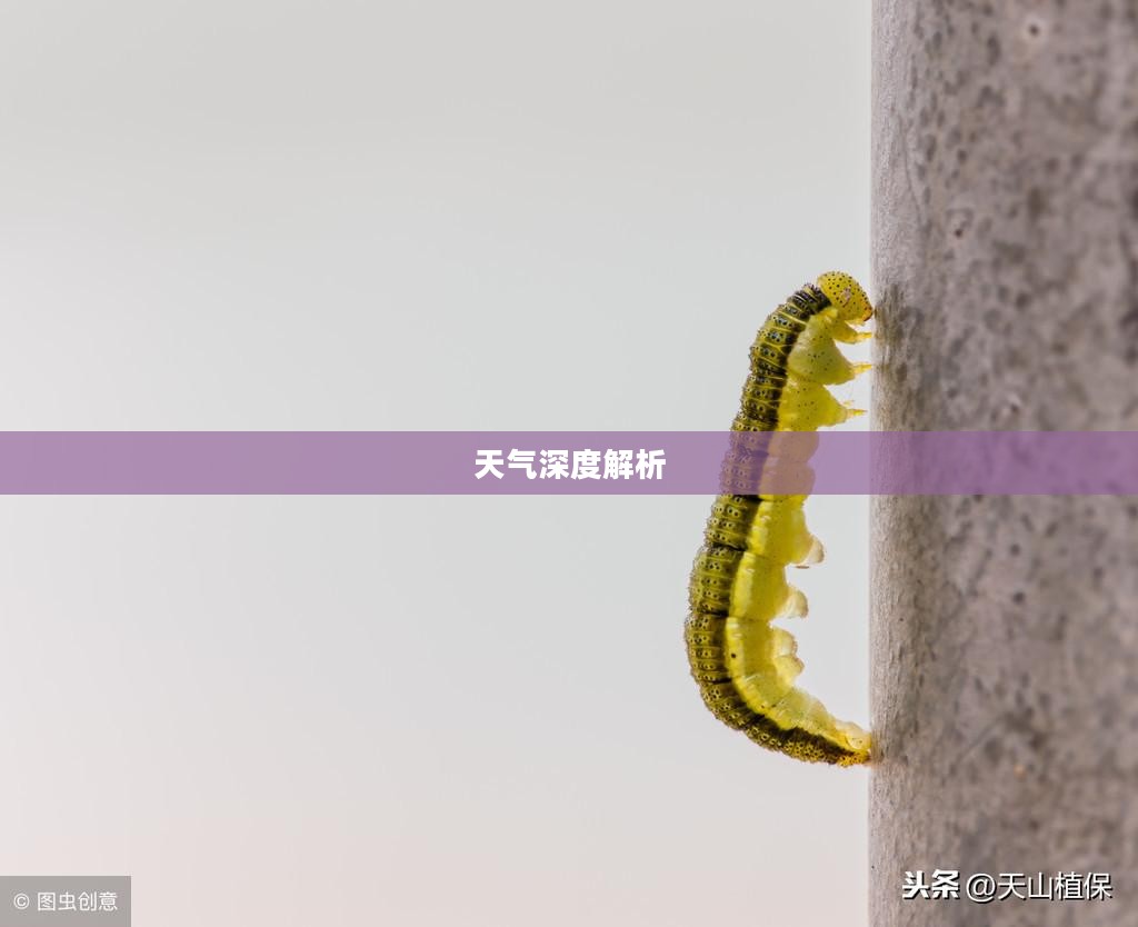 库车天气预报与天气深度解析
