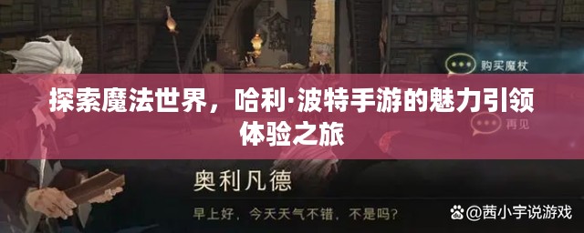 探索魔法世界，哈利·波特手游的魅力引领体验之旅