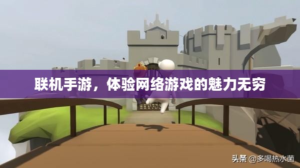 联机手游，体验网络游戏的魅力无穷