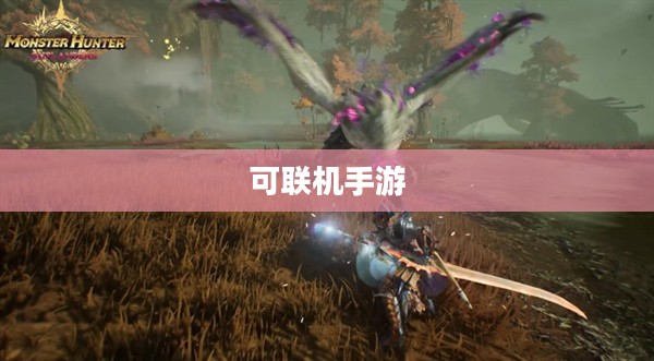 无限乐趣探索,热门可联机手游游戏一览 无限乐趣探索,热门可联机手游游戏一览
