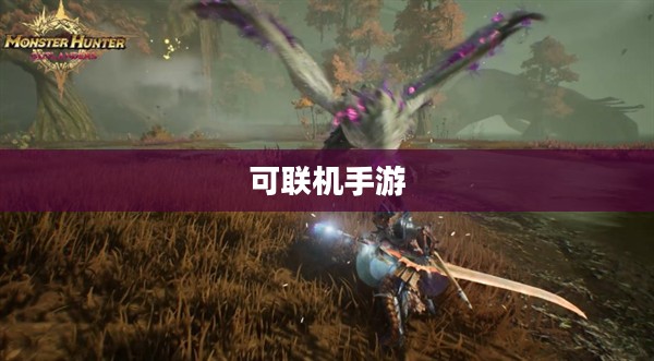 无限乐趣探索，热门可联机手游游戏一览