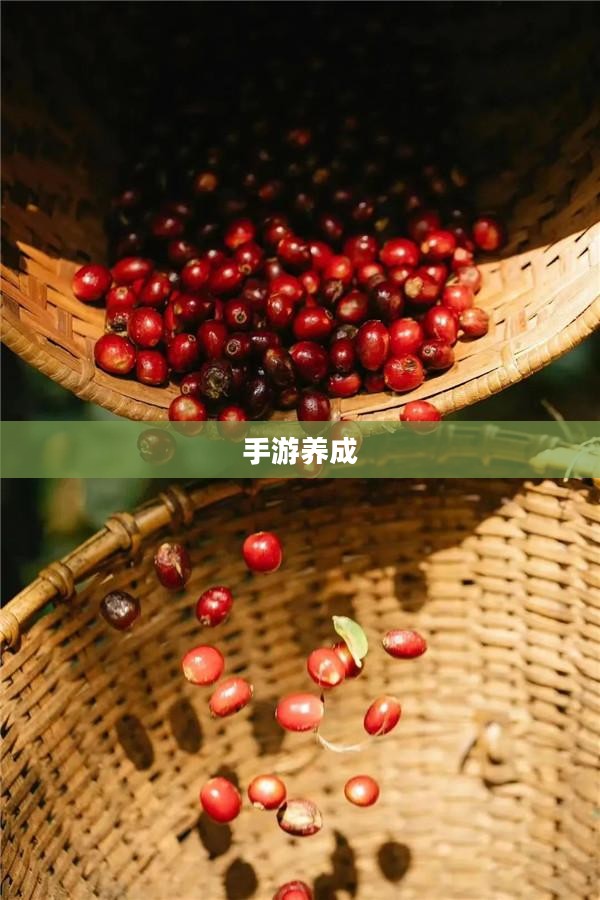 手游养成魅力无限,值得一试的养成游戏之旅 手游养成魅力无限,值得一试的养成游戏之旅