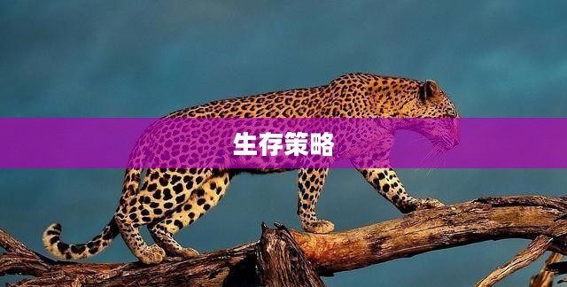 手游饥荒,生存策略与提示卡指南 手游饥荒,生存策略与提示卡指南