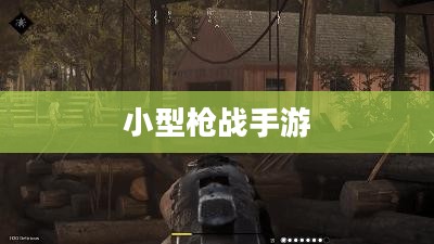 小型枪战手游,射击与战术的乐趣体验之旅 小型枪战手游,射击与战术的乐趣体验之旅