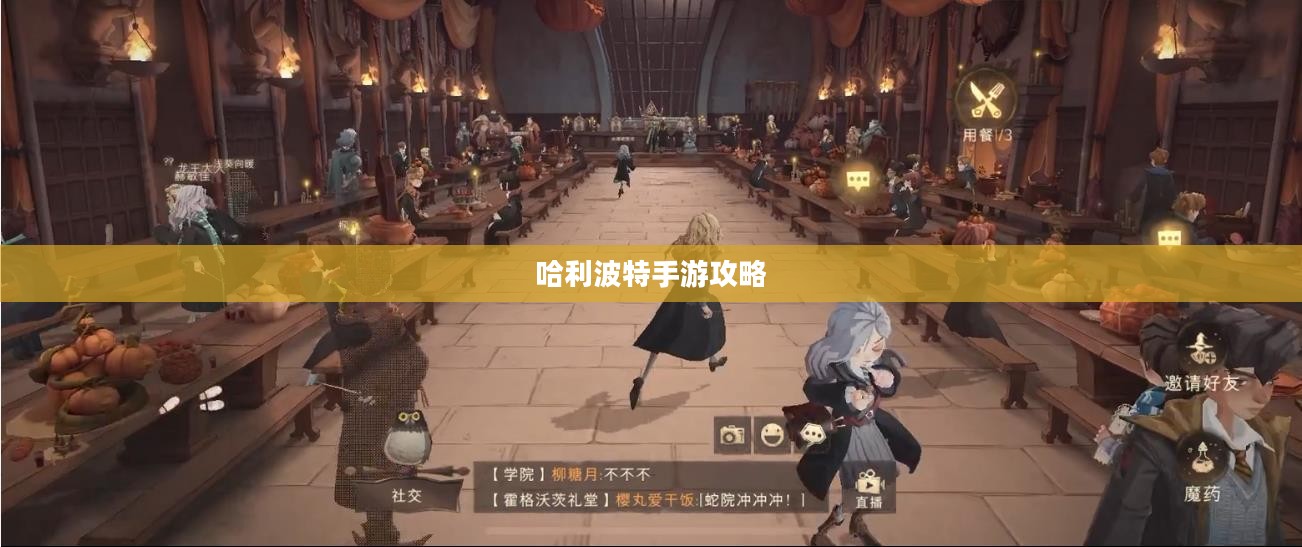 揭秘魔法世界，玩转哈利波特手游的攻略秘籍