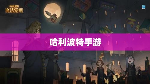 哈利波特手游，魔法世界的探索之旅，吸引你一同冒险！