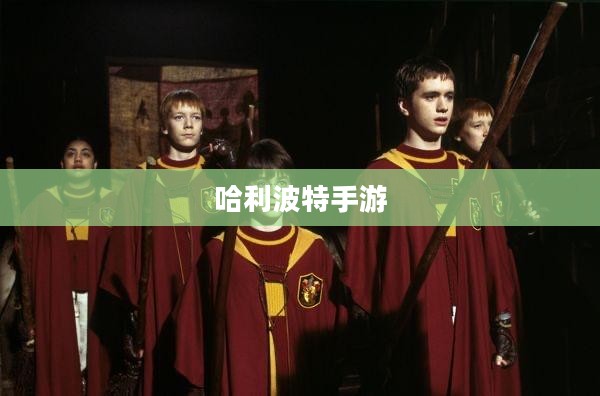 揭秘魔法世界，玩转哈利波特手游的终极指南