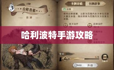 揭秘魔法世界，玩转哈利波特手游的攻略秘籍