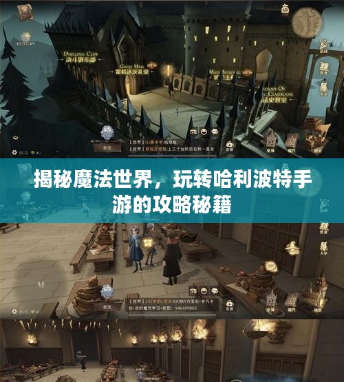 揭秘魔法世界，玩转哈利波特手游的攻略秘籍