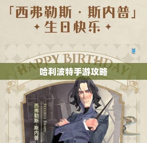 揭秘魔法世界，玩转哈利波特手游的攻略秘籍
