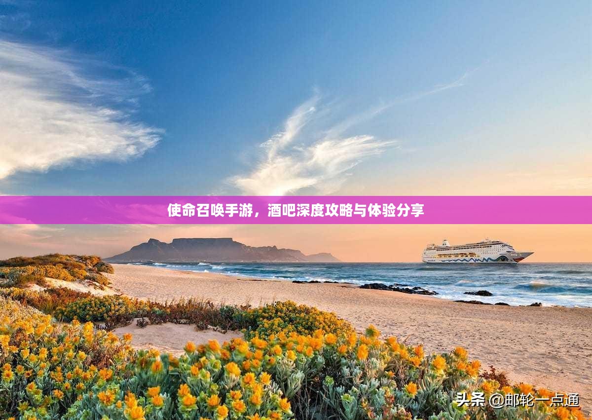 使命召唤手游，酒吧深度攻略与体验分享