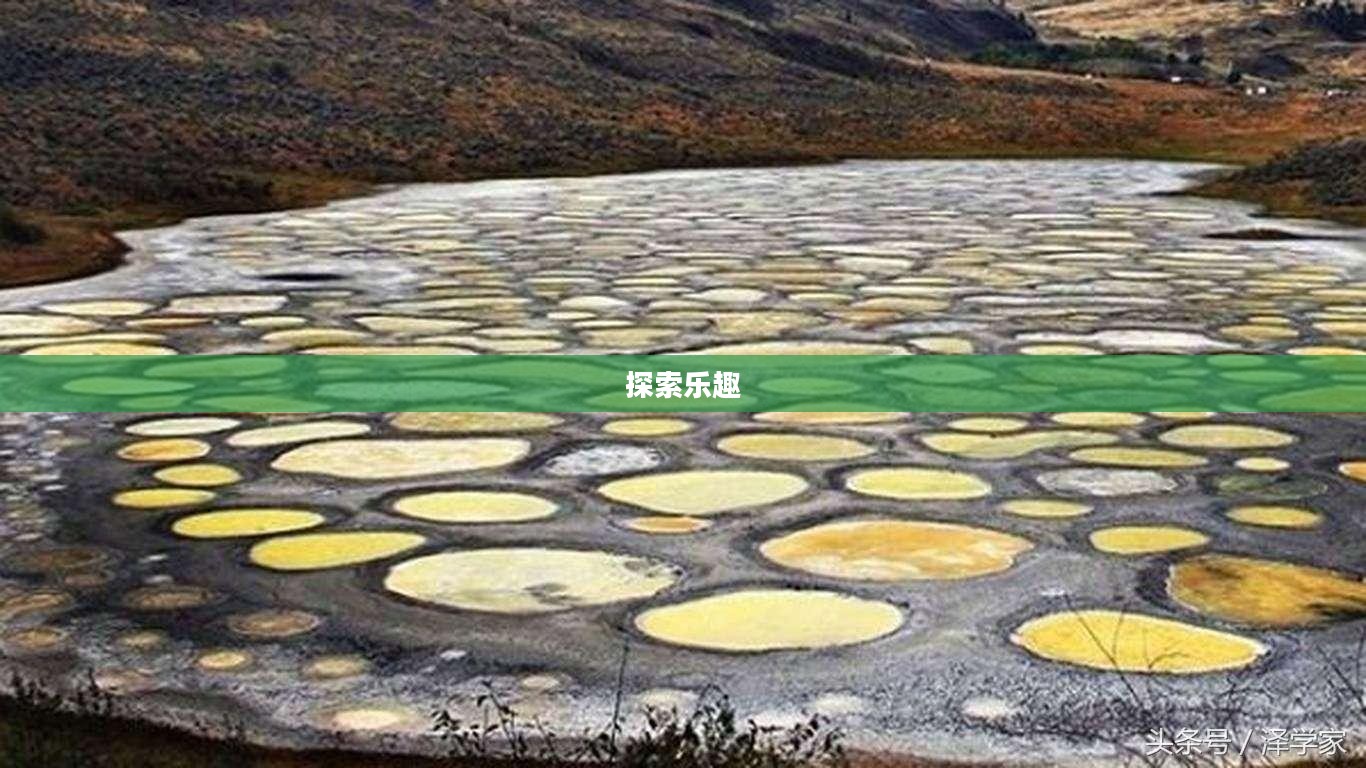无限乐趣探索，热门可联机手游游戏一览