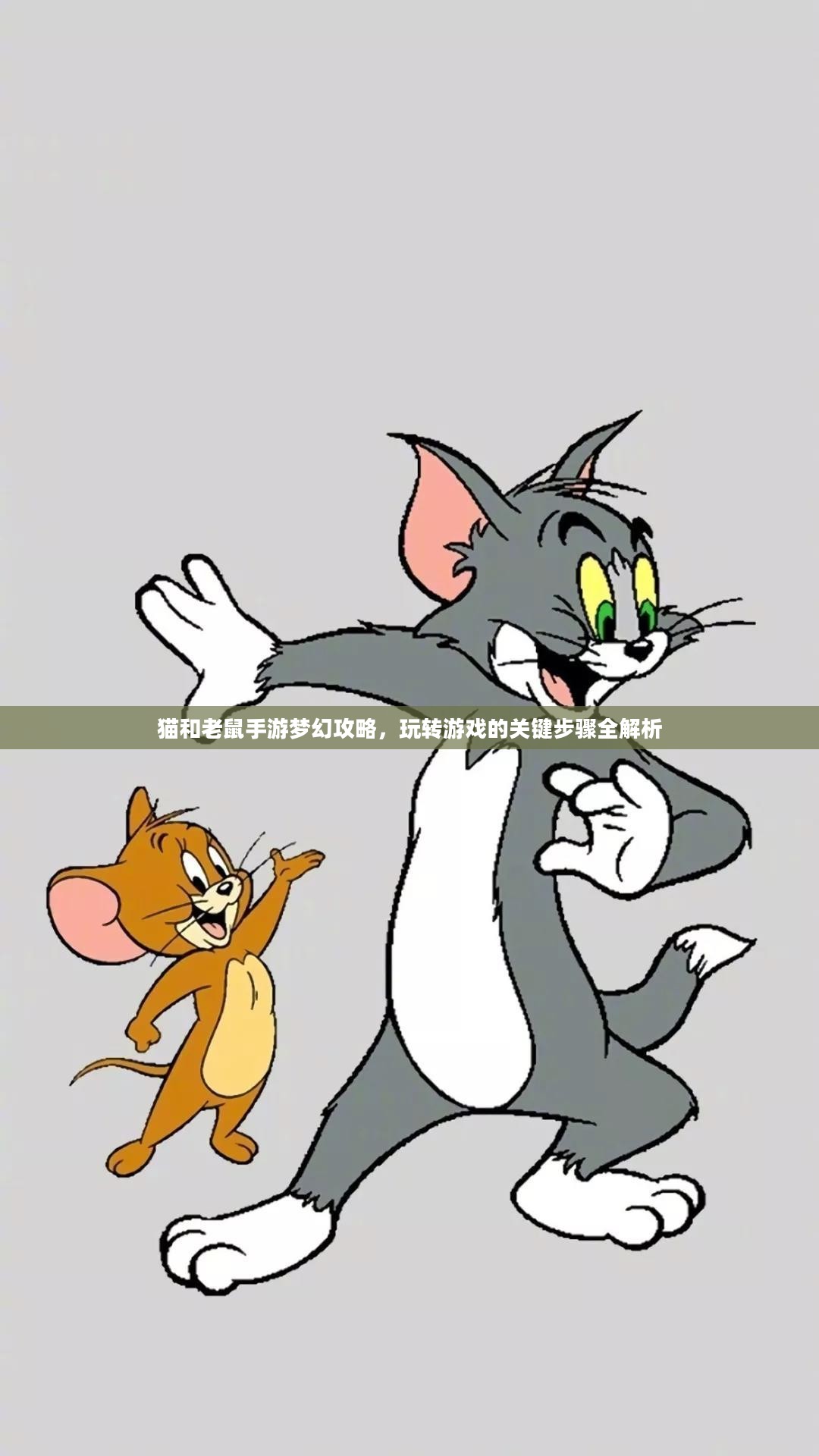 猫和老鼠手游梦幻攻略，玩转游戏的关键步骤全解析