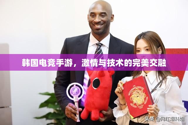 韩国电竞手游，激情与技术的完美交融