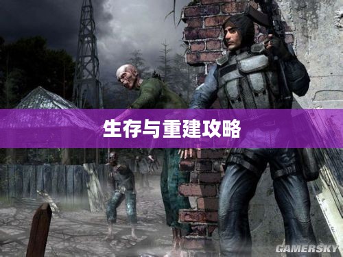 末世启示录，生存与重建的攻略与玩法指南