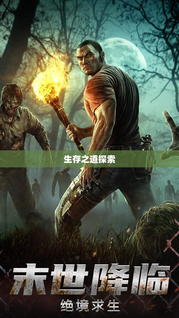 末世启示手游攻略，生存之道探索