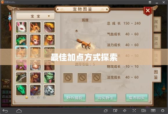 问道手游点化加成攻略，探索最佳加点方式