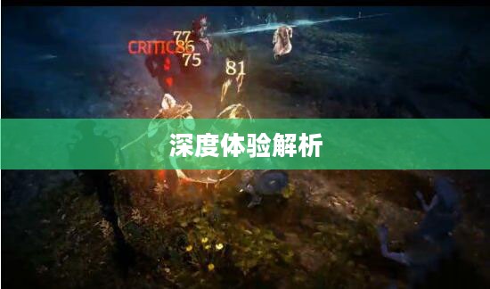 黑色沙漠手游，深度体验与解析