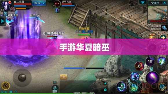 手游华夏暗巫强吗，深度解析暗巫角色在游戏中的实力与特点
