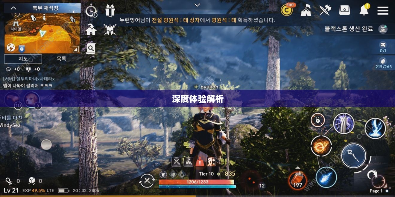 黑色沙漠手游，深度体验与解析