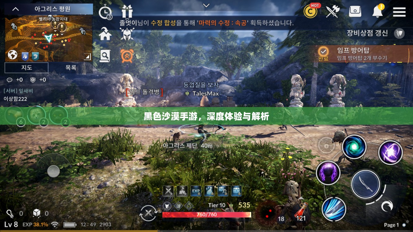 黑色沙漠手游，深度体验与解析