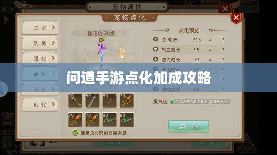 问道手游点化加成攻略，探索最佳点化加点方式