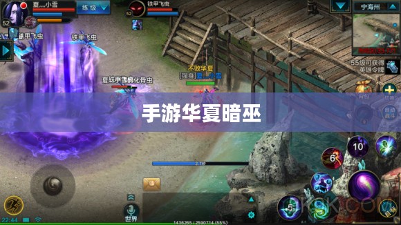 手游华夏暗巫强吗，深度解析暗巫角色在游戏中的实力与魅力