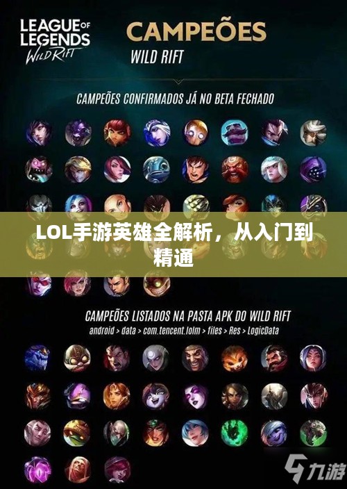 LOL手游英雄全解析，从入门到精通