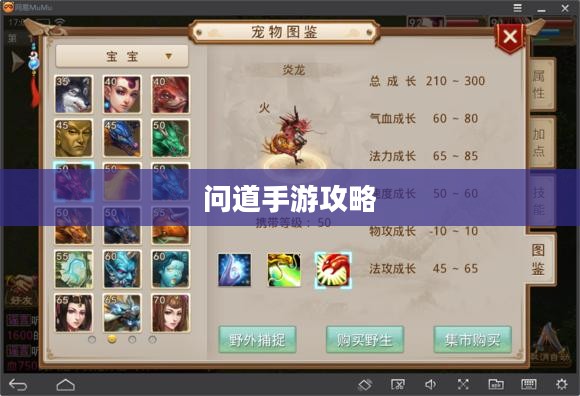 问道手游攻略，如何巧妙捕捉心仪的宠物