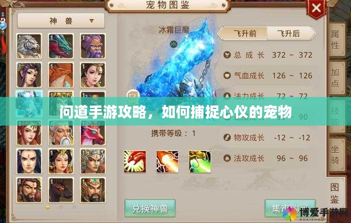 问道手游攻略，如何捕捉心仪的宠物