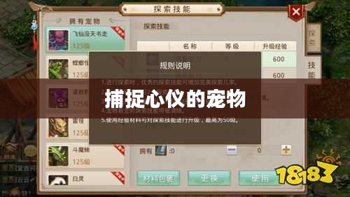 问道手游攻略，如何捕捉心仪的宠物