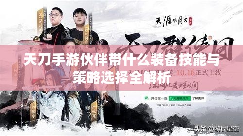 天刀手游伙伴带什么装备技能与策略选择全解析