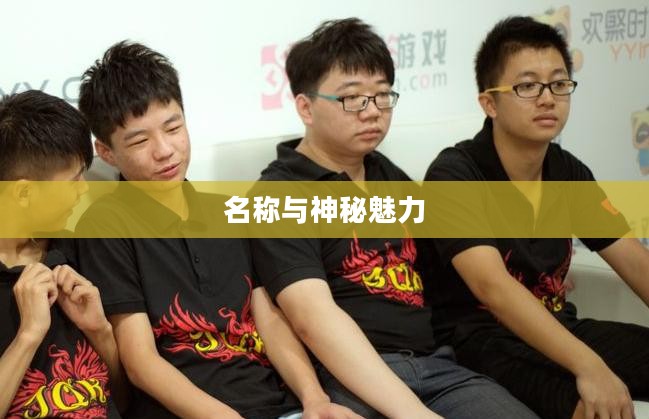 LOL手游鬼书揭秘，名称与神秘魅力探寻