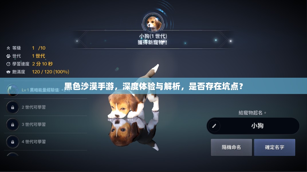 黑色沙漠手游,深度体验与解析,是否存在坑点? 黑色沙漠手游,深度体验与解析,是否存在坑点?