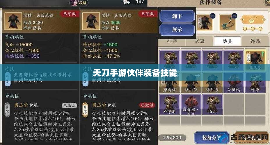 天刀手游伙伴带什么装备技能与策略分析