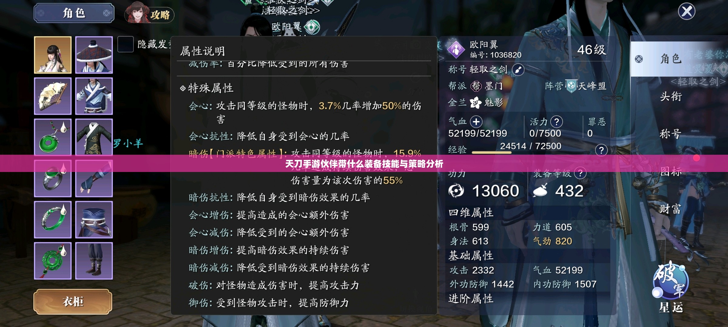 天刀手游伙伴带什么装备技能与策略分析