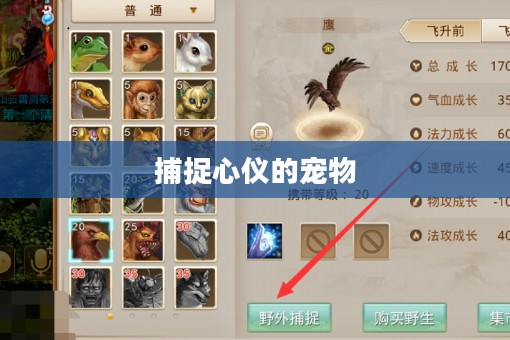 问道手游攻略，如何捕捉心仪的宠物