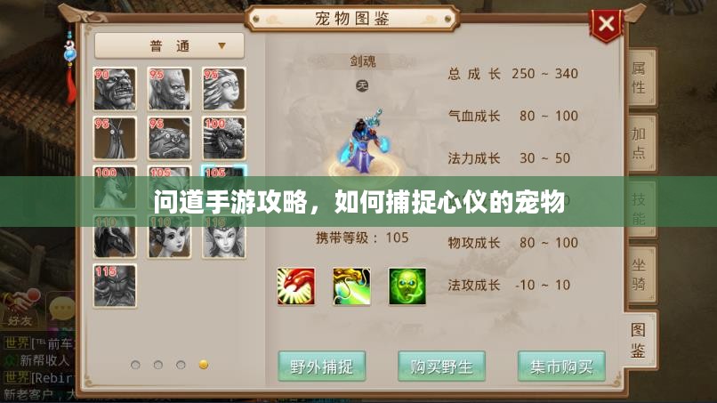 问道手游攻略,如何捕捉心仪的宠物 问道手游攻略,如何捕捉心仪的宠物
