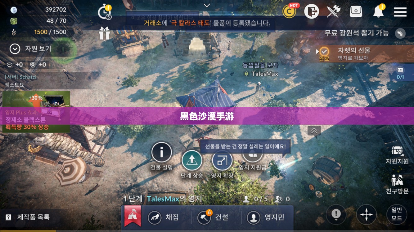 黑色沙漠手游，深度体验与解析