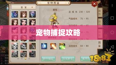 问道手游宠物捕捉攻略