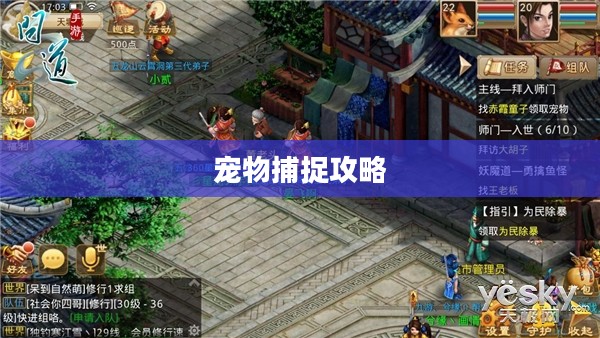 问道手游宠物捕捉攻略