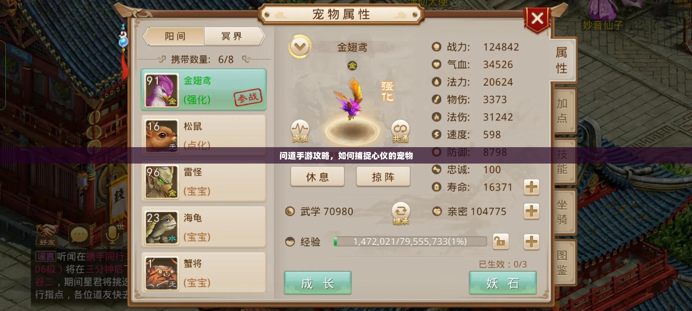 问道手游攻略,如何捕捉心仪的宠物 问道手游攻略,如何捕捉心仪的宠物