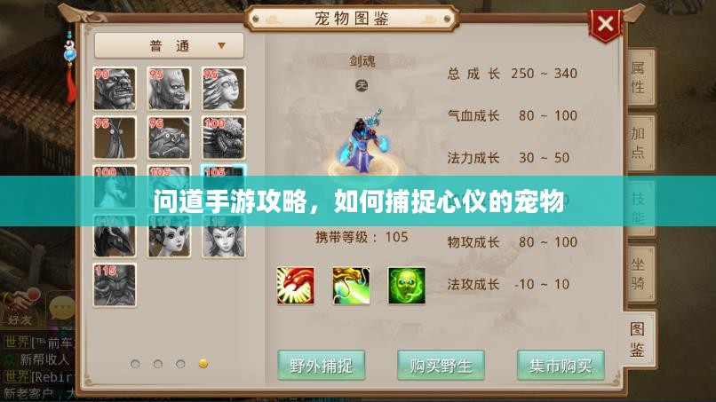 问道手游攻略,如何捕捉心仪的宠物 问道手游攻略,如何捕捉心仪的宠物