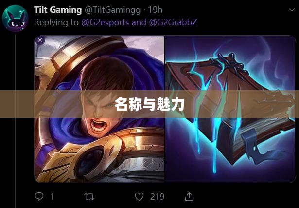 LOL手游鬼书揭秘，名称与魅力