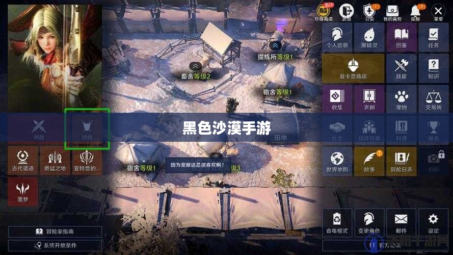黑色沙漠手游，深度体验与解析，是否存在坑点？